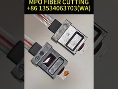 สีเขียว MPO ไฟเบอร์เคเบิล Multi Mode OM3 8 Core 10 เมตร สําหรับ QSFP / Transceiver