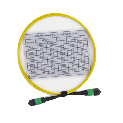 ซื้อ สายเคเบิล OS2 9/125 MPO MTP ตัวเมีย 12 สายไฟเบอร์ออปติกมัลติแพทช์ online manufacture