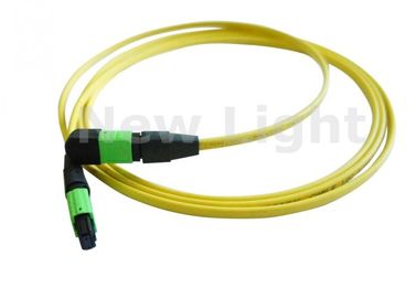 ซื้อ โหมดเดี่ยว 12 Core MPO สาย MTP / MTP Trunk Cable ด้วย APC Polish CE Approved online manufacture