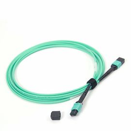 ซื้อ สตรี MPO - สายแพทช์ไฟเบอร์ MPO OM4 50/125 ความยาวหลายแกน 24 ความยาว 10 เฟรม online manufacture