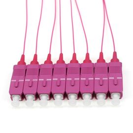 ซื้อ OM4 SC / ไฟเบอร์ออปติกคอมพิวเตอร์ Pigtail, 1 M สายจัมเปอร์ไฟเบอร์ 12 สี 0.9 มม online manufacture