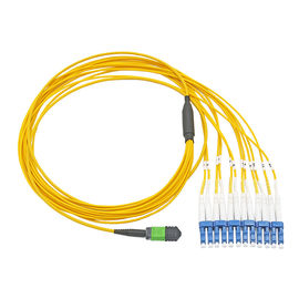 ซื้อ G652D LSZH สายเคเบิลใยแก้วนำแสงโหมดเดียว MPO / MTP Trunk Cord online manufacture