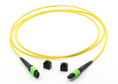 ซื้อ Trunk MPO MTP Cable MPO ชายกับหญิง MPO SM 8/12 สายแพทช์ไฟเบอร์ online manufacture