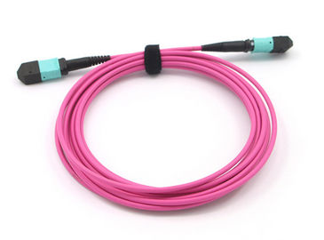 ซื้อ สายแพทช์ MPO ถึง MPO 12 แกนเส้นใย OM4 Magenta MPO MTP Trunk Cable online manufacture