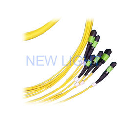 ซื้อ G652D LSZH สายเคเบิลไฟเบอร์ออปติกดูเพล็กซ์โหมดเดียว MPO / MTP สายลำตัว 8/12/24 แกน online manufacture