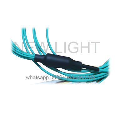 ซื้อ 12 Core OM4 MPO MTP Cable สําหรับเครือข่าย 40/100G ด้วย MPO ไปยัง LC Breakout online manufacture