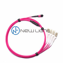 ซื้อ OM4 100G Transmission 12 Strand MTP Patch Cable online manufacture